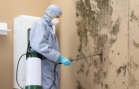 Why You Should Choose Our Mold Remediation Services in Milton, WA